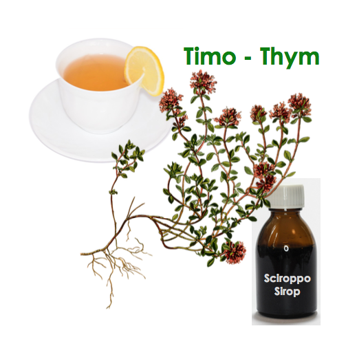 recettes naturelles a base de thym, sirop de thym